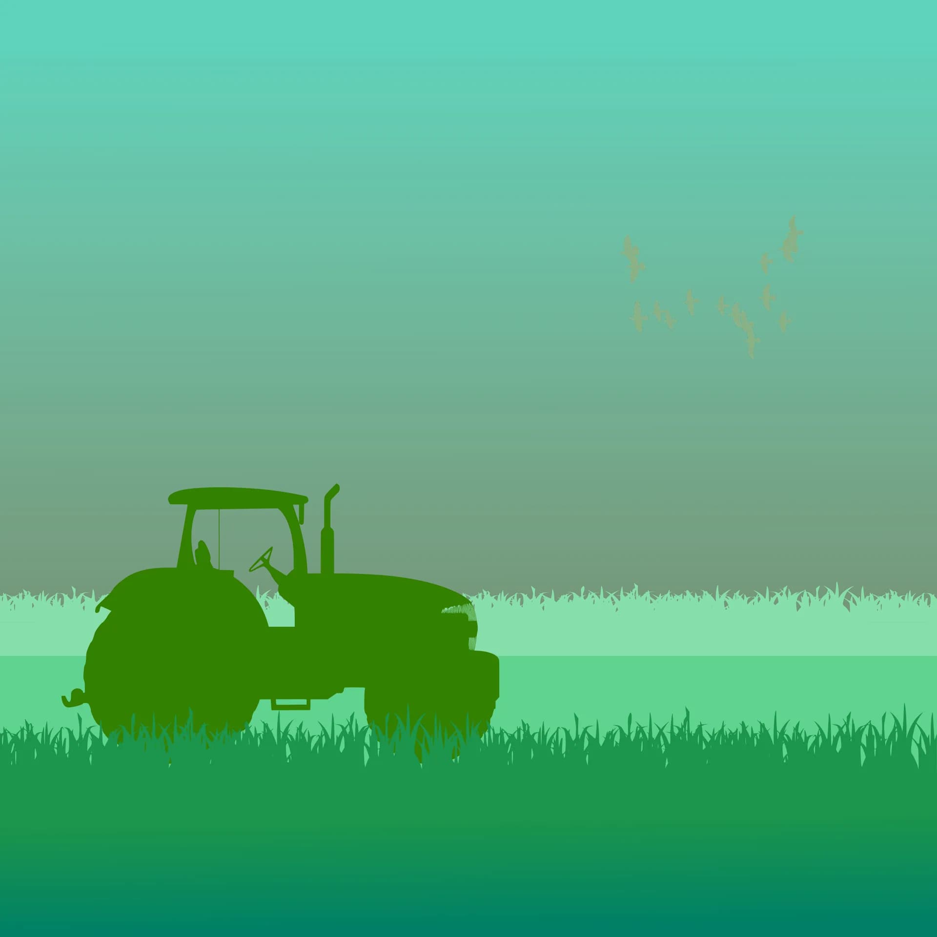 Agricultural field representing VARL food systems research