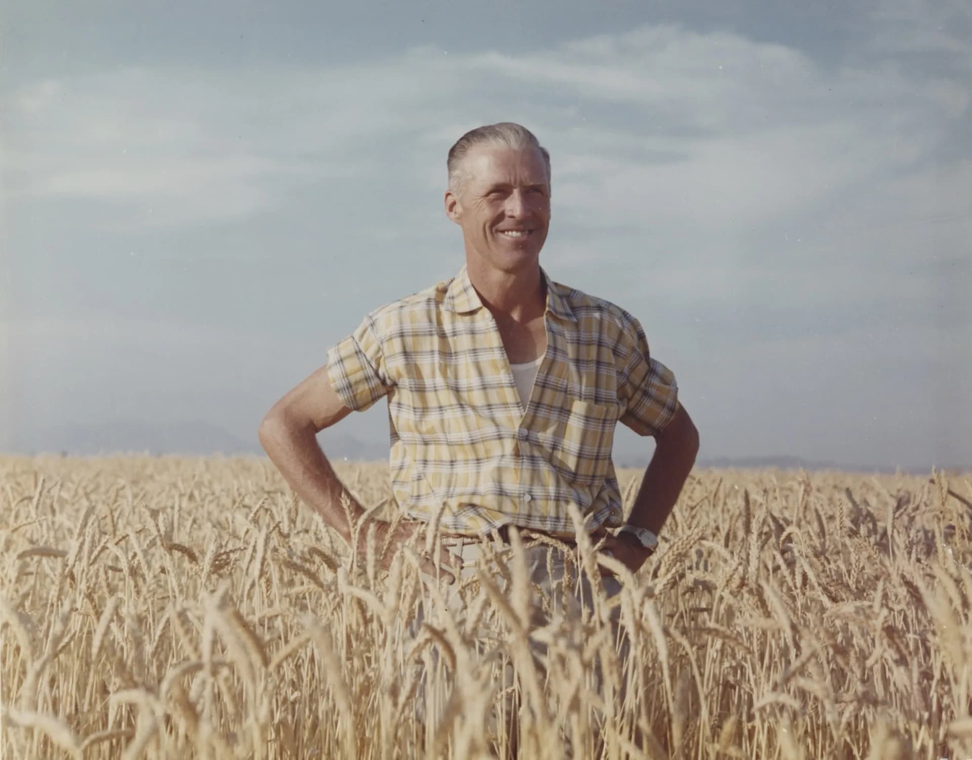 Norman Borlaug standing in a wheat field, 1960s