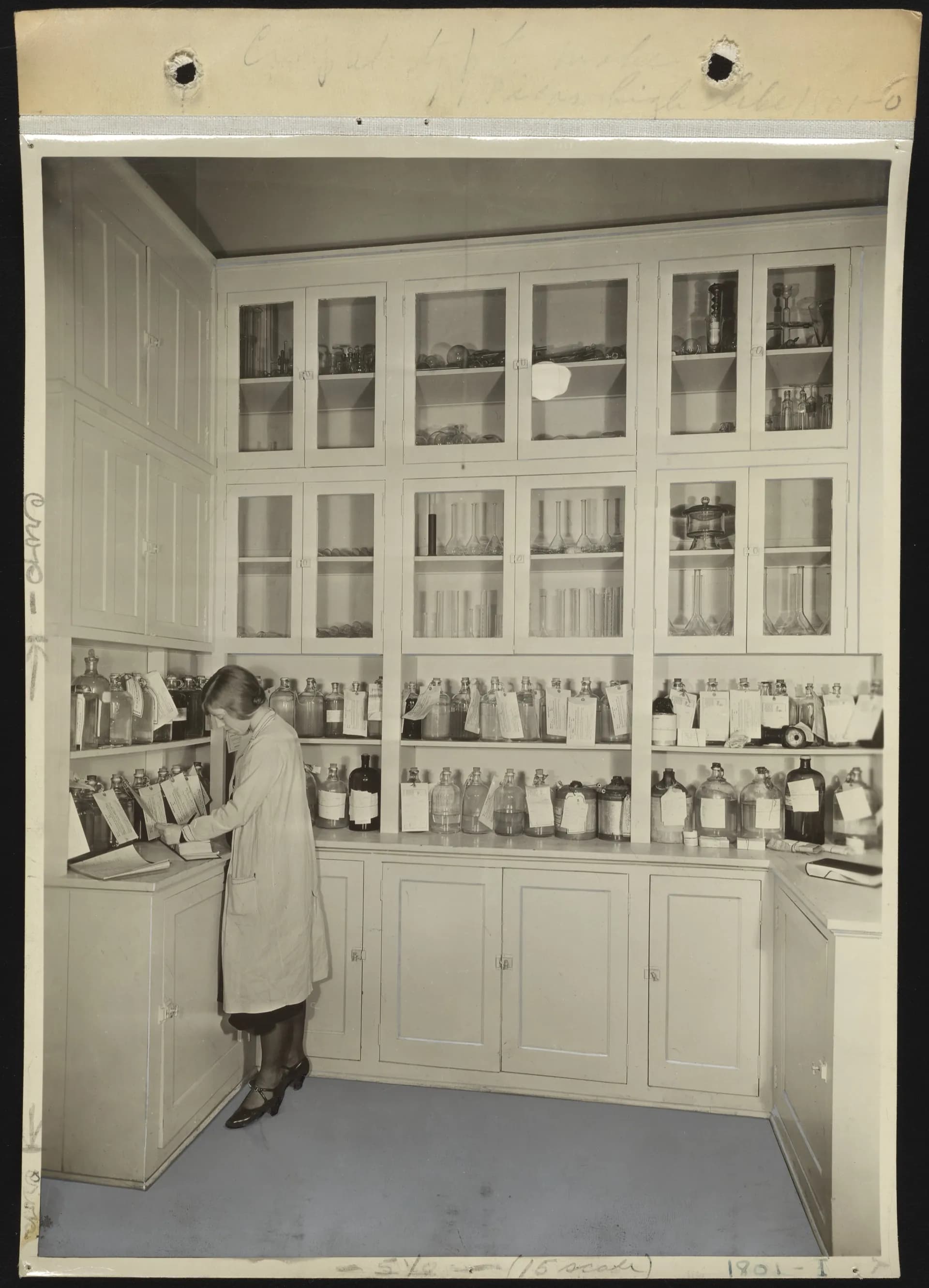 Genevieve Work in the receiving room at Dearborn laboratory, circa 1924